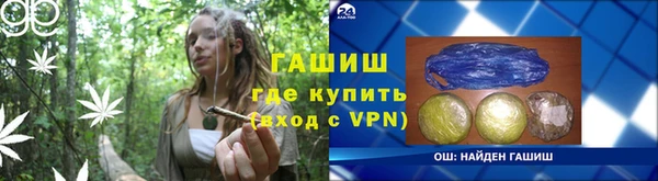 спиды Богородицк