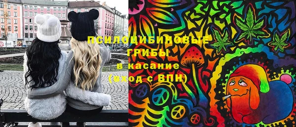 мяу мяу мука Аркадак