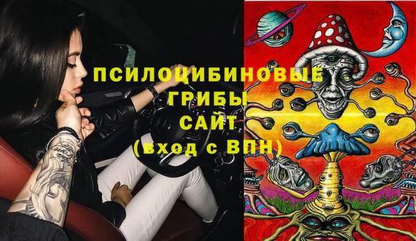 крисы Арсеньев
